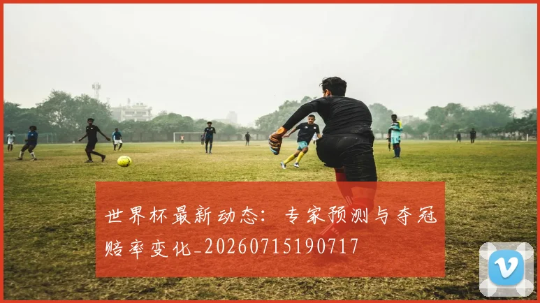世界杯最新动态:专家预测与夺冠赔率变化_20260715190717